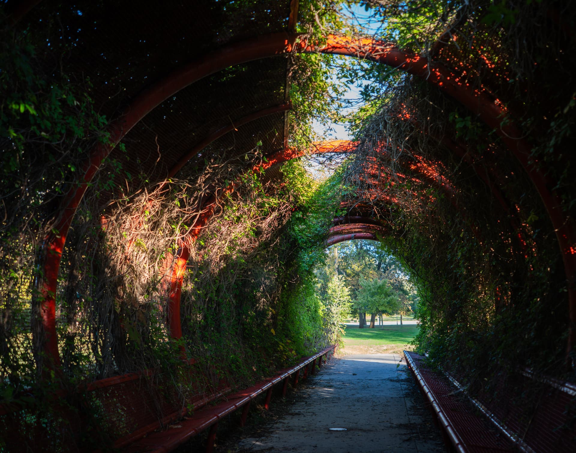 Vine-covered red arbor walkway in a Columbus, Indiana park